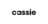 Cassie logotyp