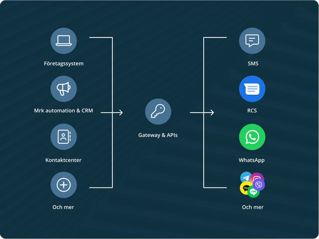 API integration SV (1)