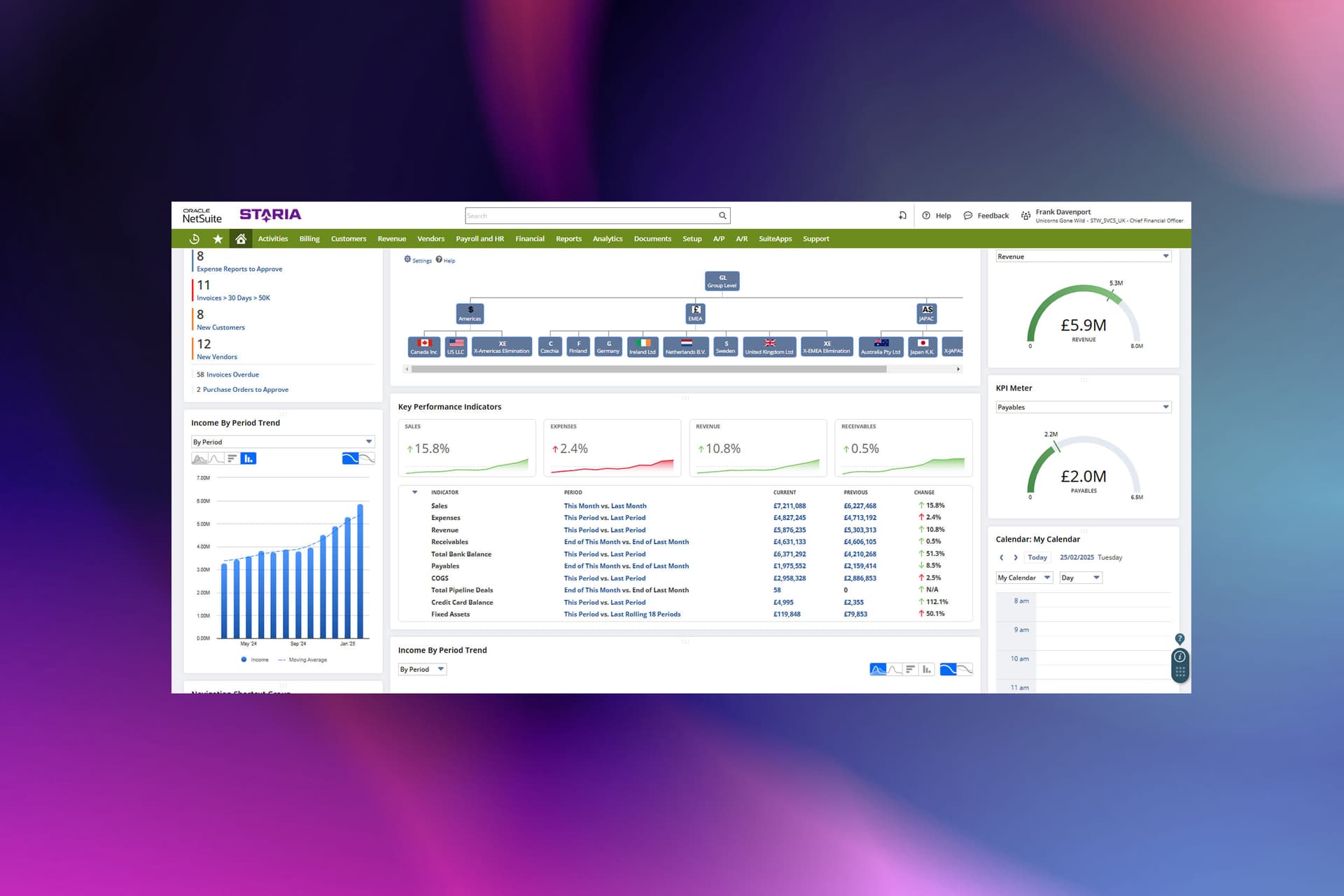 NetSuite screenshot 2