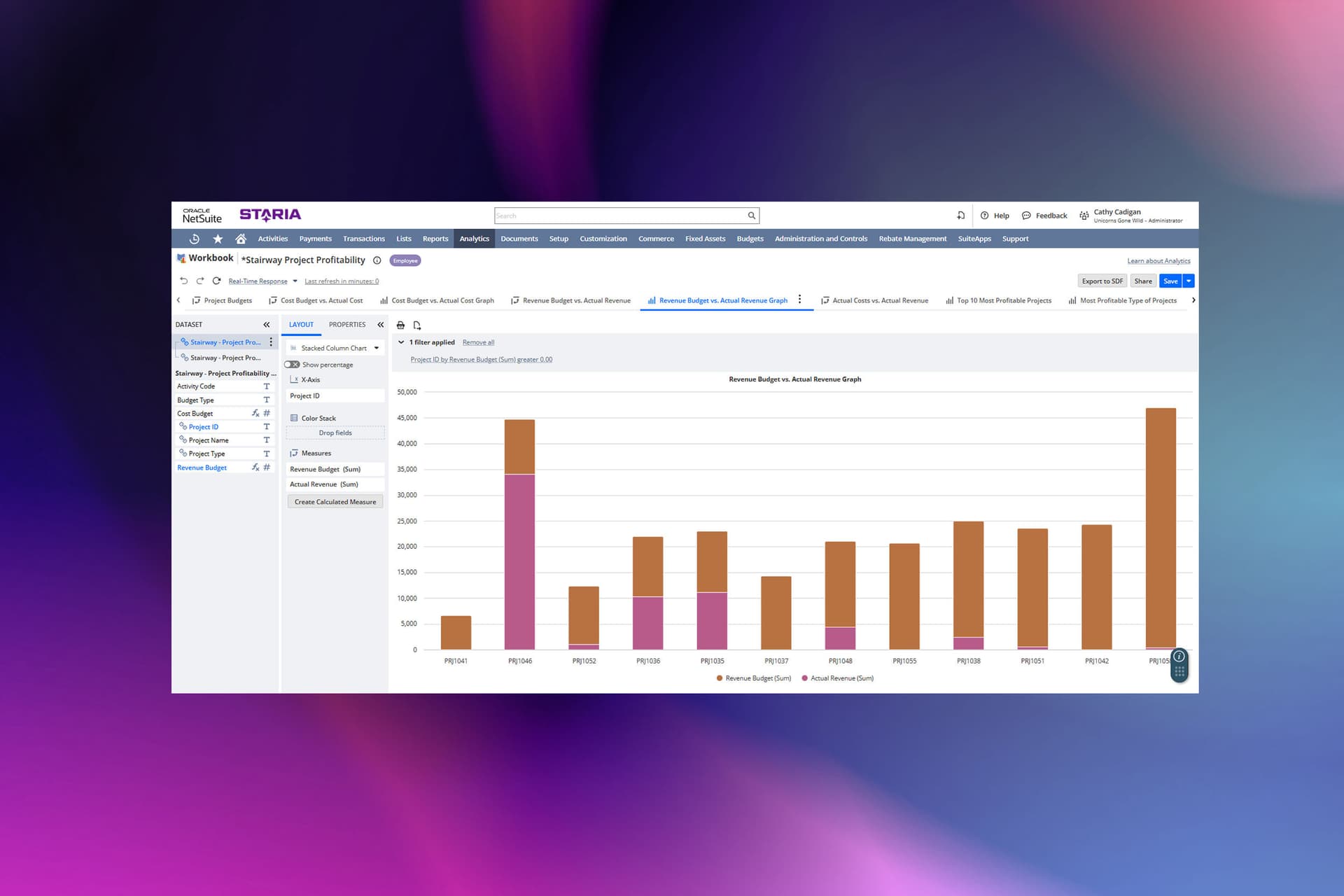 NetSuite screenshot 3
