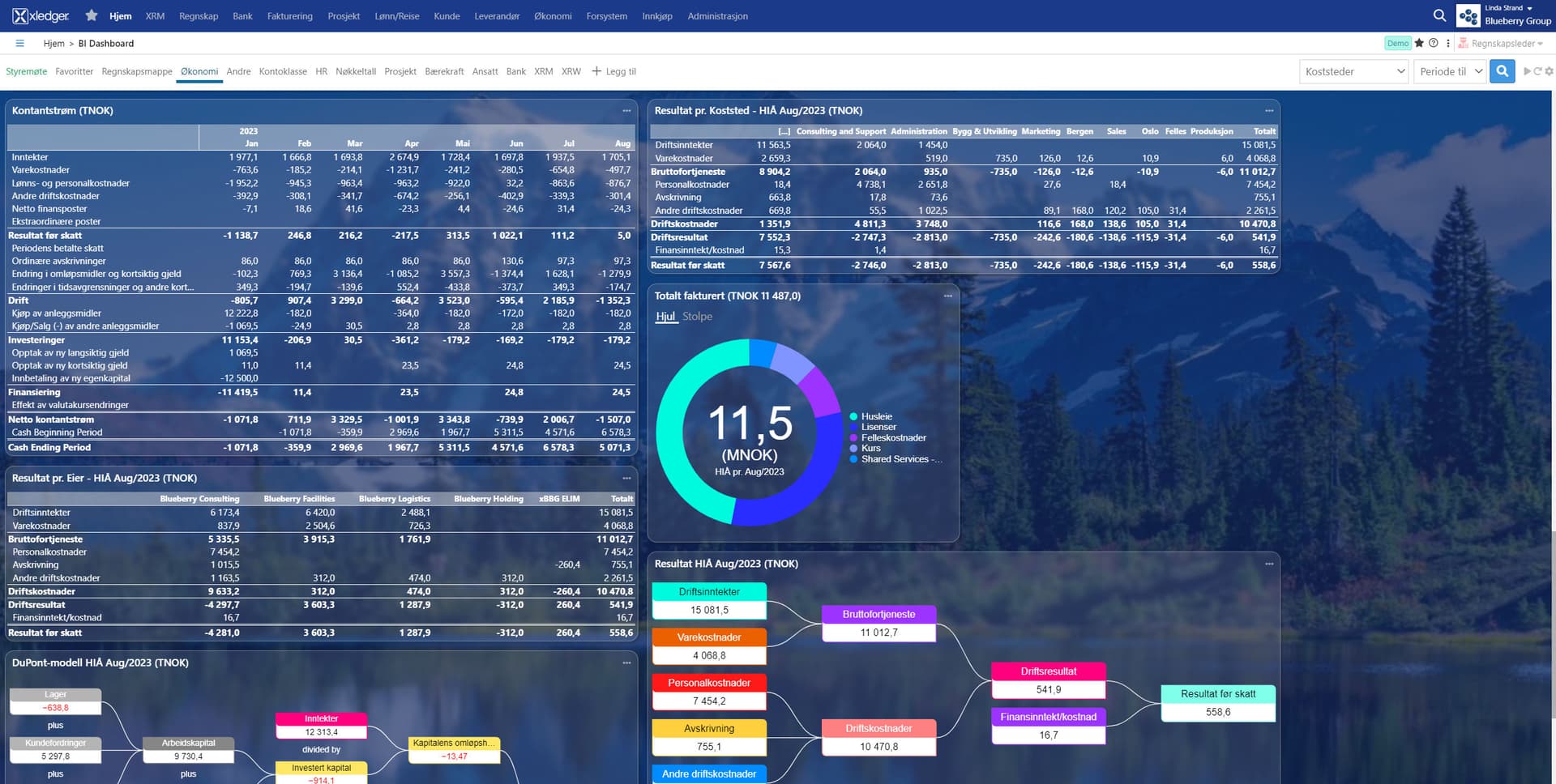 1 Dashboard for CFO